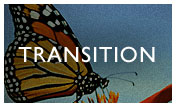 Transition